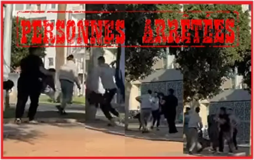 تحريض كلب شرس في شجار عنيف بالدار البيضاء يجر ستة أشخاص للاعتقال