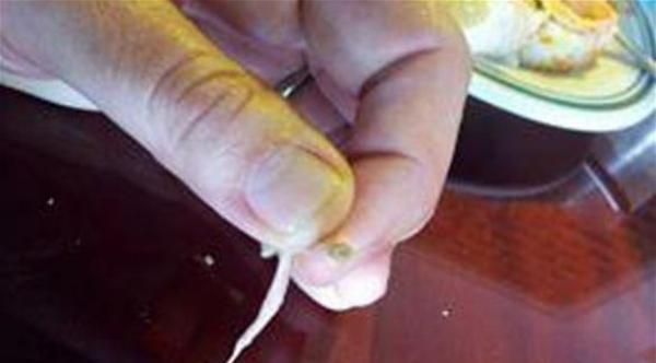 صاحب مطعم يأكل دودة ليتجنب دفع غرامة