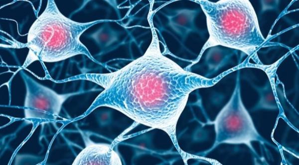 ابتكار جهاز جديد يمكن الاستماع إلى أصوات الخلايا