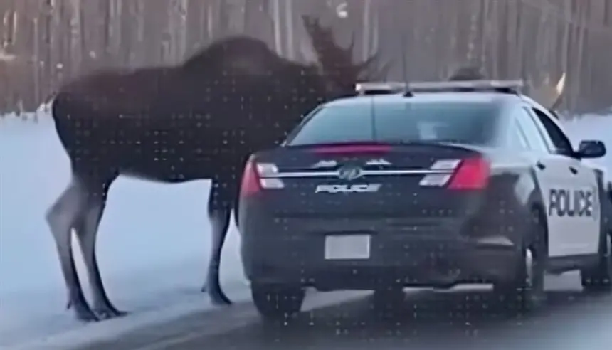 Sorry! Image not available at this time