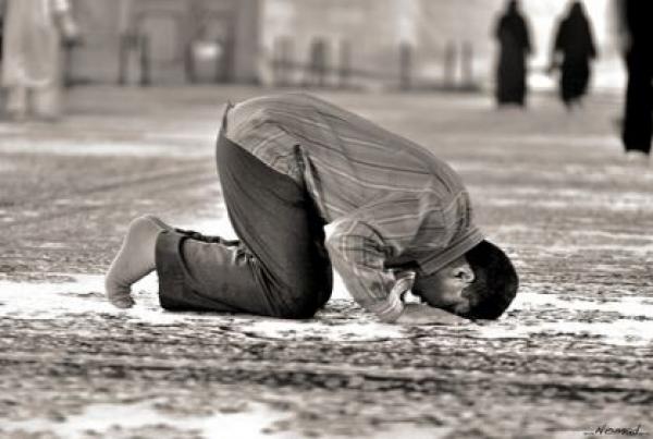 عجائب السجود.....لو تعرفها تسجد لله بغير صلاة!!!!