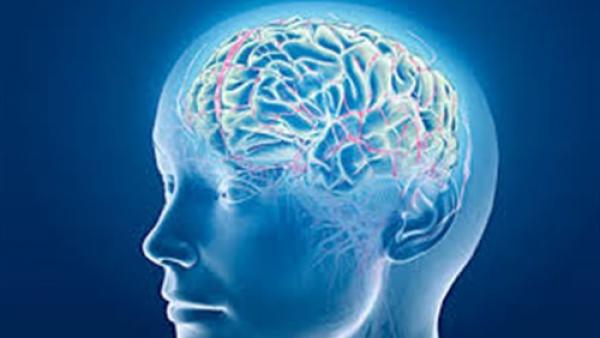 7 نصائح تحمي من الإصابة بجلطات المخ