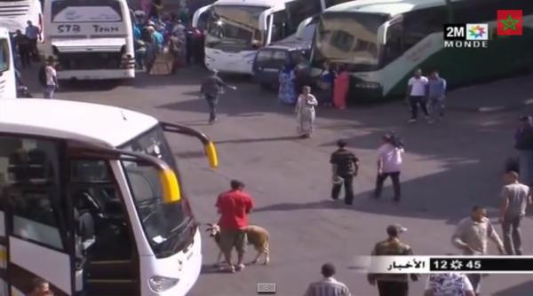 اكتظاظ وغياب الحافلات بمحطة القامرة بالرباط
