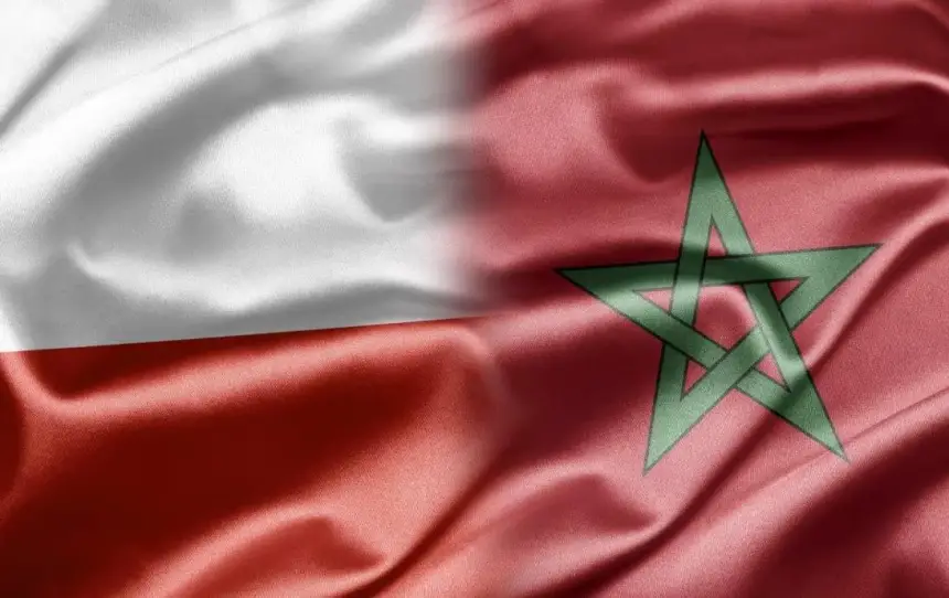 المغرب وبولندا يوقعان مذكرة تفاهم ببرلين بشأن السلامة الصحية