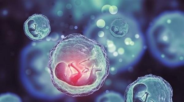 غضب طبي بسبب "تخليق"جنين من دون بويضة أو حيوان منوي