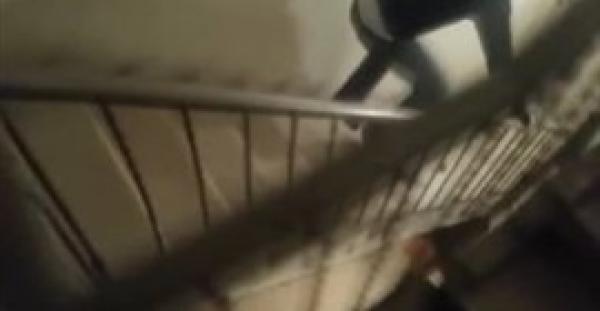 بالفيديو.. معركة شرسة بين رجل وفأر