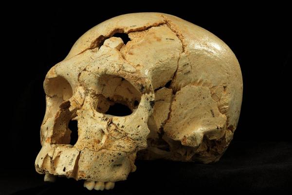 استنفار أمني بعد العثور على جمجمة بشرية تعود لطفل بمراكش