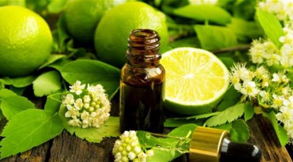 4 زيوت أساسية تساعد على إنقاص الوزن