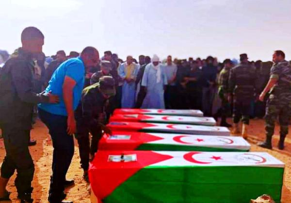 "مصطفى سلمى" معلقا على مقتل 5 موالين لـ"الجبهة".. هي "حرب عبثية" لأن المغرب حسم ملف صحرائه منذ 3 سنوات