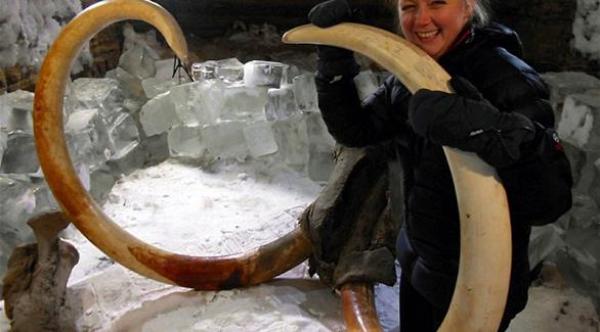 علماء: الماموث المنقرض سيعود قريباً إلى الحياة