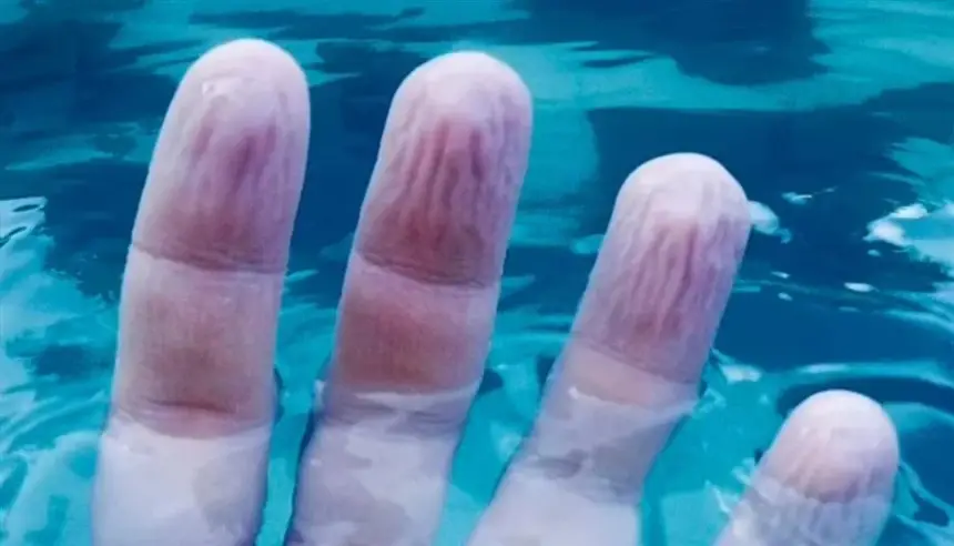 لماذا تتجعد الأصابع في الماء؟.. كشف علمي يغيّر المفهوم الشائع