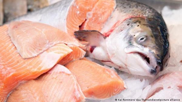 هذه الأطعمة تحمي البروستاتا وتقلل مخاطر الإصابة بالسرطان