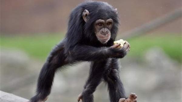 "صورة أرشيفية"