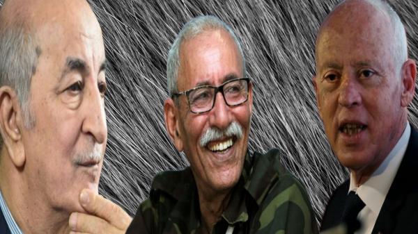 وثيقة مسربة تكشف كيف باعت تونس موقفها تجاه "الصحراء المغربية" لنظام العسكر