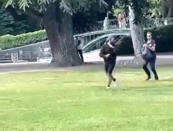 لاجئ سوري مسلح يهاجم منتزها بجبال الألب الفرنسية ويصيب عدة أطفال بجروح