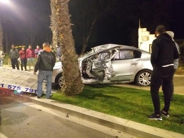 كلب ضال يتسبب في فاجعة طرقية بين أكادير وإنزكان