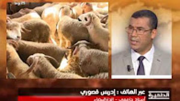 التكلفة الاقتصادية لعيد الأضحى