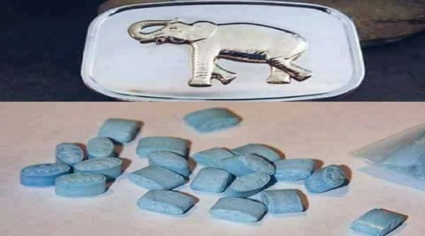 بالفيديو: حبة الفيل الازرق تأخذ صاحبها إلى ما بعد الموت