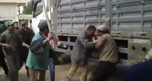 شفار محترف في فاس في قبضة الفلاحين