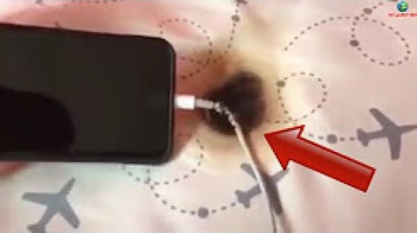 حذاري من شاحن الهواتف في فصل الصيف ..شاهد ما وقع لطفل ترك الهاتف فوق السرير