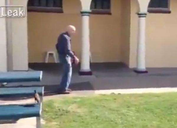 بالفيديو.. عجوز يقاتل ثعبان سام بركلتين في وجهه فقط