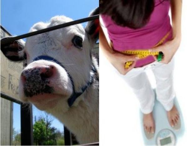 اعتقال عشاب بأولاد تايمة بسبب "دردك"