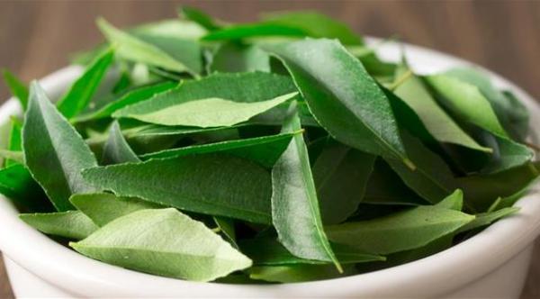 أوراق الكاري للوقاية من السرطان والسكري