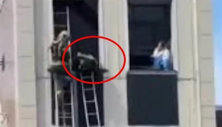 بالفيديو.. سقوط مثير لرجال الإطفاء من ثلاثة طوابق خلال مسابقة دون إصابات