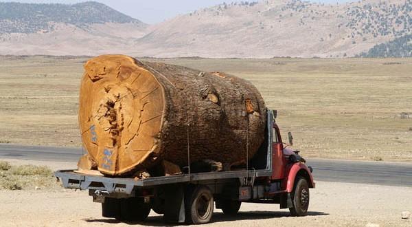 مواطنون يحاصرون سيارة تحمل كمية كبيرة من الأرز المهرب وهذا ما فعلوه بها