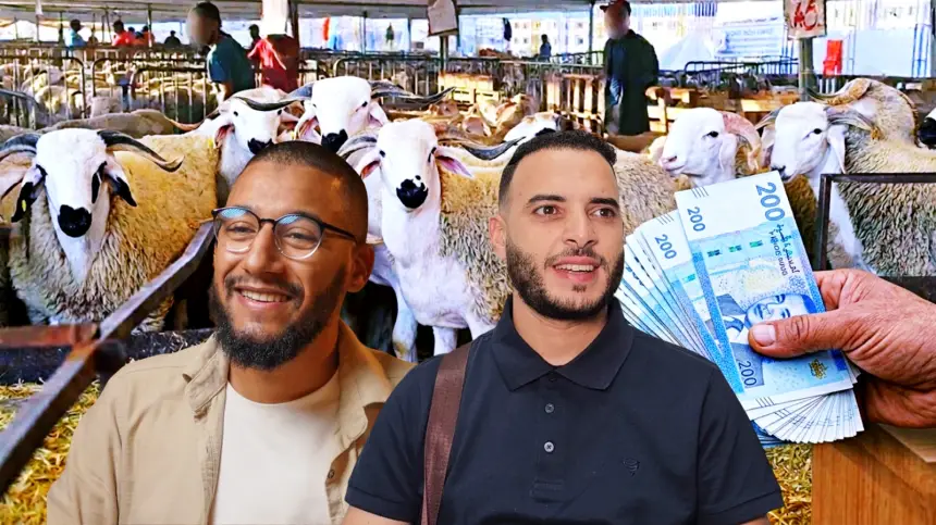 غلاء الأضاحي يفجر صراع أفكار على مواقع التواصل.. و"الشيخ سار" يثير الجدل بموقفه من مبادرة "فيسبوكي حر"