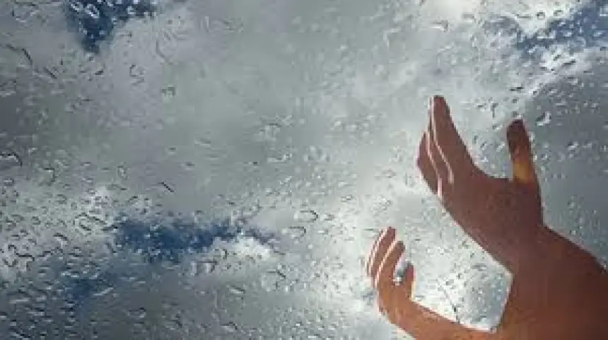 هدي النبي عند نزول المطر