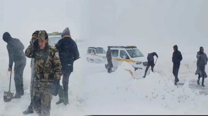 استنفار بباشوية بومية… تدخل عاجل لفك حصار الثلوج وإنقاذ سيارات عالقة في طريق تونفيت