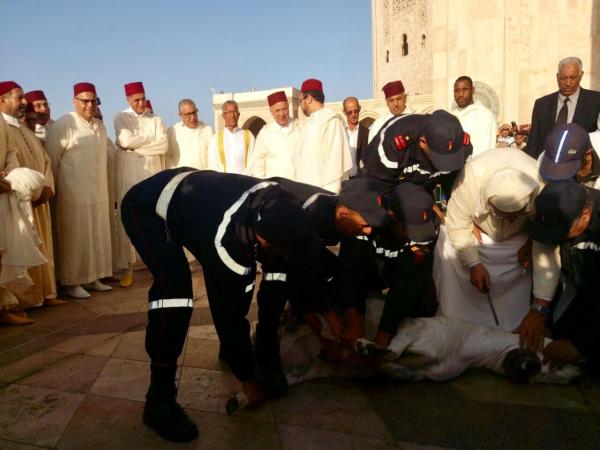 بالصورة ..والي جهة كازا سطات الجديد يستعين برجال الوقاية المدنية لنحر كبش العيد
