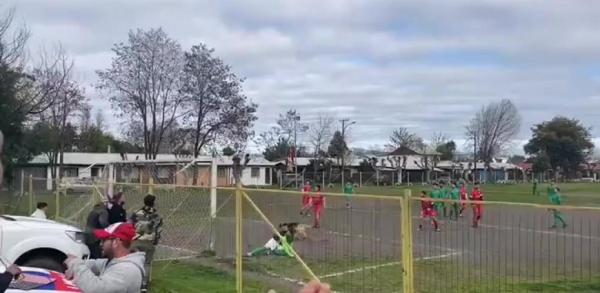 كلب يقتحم ملعب كرة قدم ويسجل هدفا رائعا برأسه بدوري شهير(فيديو)