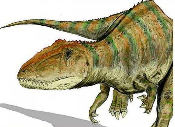 صورة تعبيرية