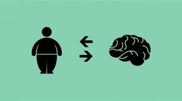 دراسة: السمنة تتلف الدماغ