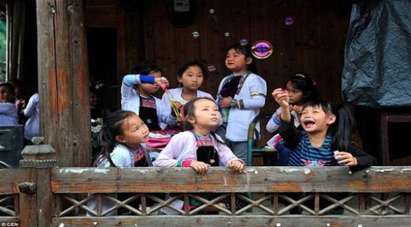 عشبة صينية غامضة يستخدمها القرويون لتحديد جنس المولود