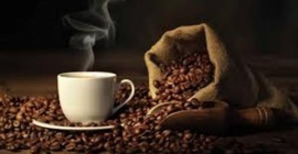 6 أطعمة تقوي الذاكرة وترفع معدلات تركيز الطلاب (صور)