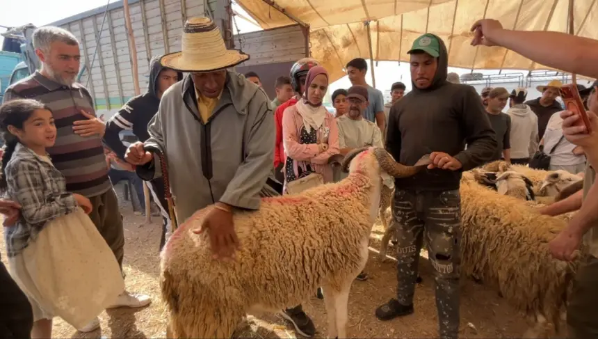 غلاء الأضاحي يبتلع الطبقة المتوسطة.. عندما يعادل ثمن "الحولي" ضعف الحد الأدنى للأجور بالمغرب