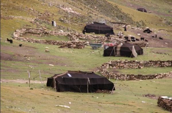 مرة أخرى...اشتباكات خطيرة بين فلاحين ورعاة رحل كادت أن تتسبب في مجزرة