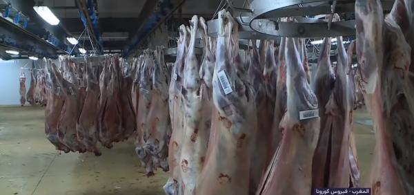 لائحة الأنشطة التجارية والخدماتية المسموح بها خلال فترة الطوارئ الصحية