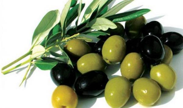  7 فوائد صحية تدفعنا للتناول الزيتون