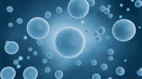 اكتشاف التطورات التي تؤدي إلى سرطان البنكرياس