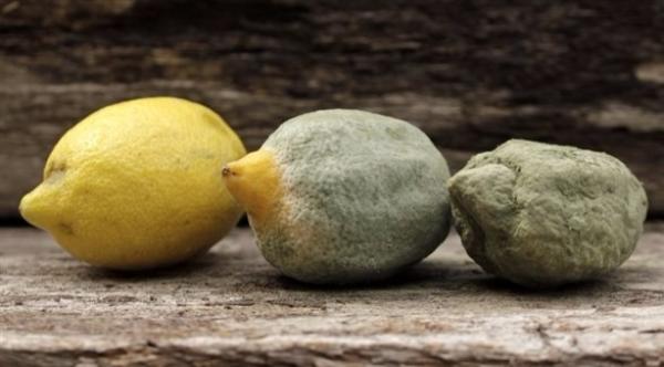 6 وسائل لتمييز الأطعمة الفاسدة في المطبخ