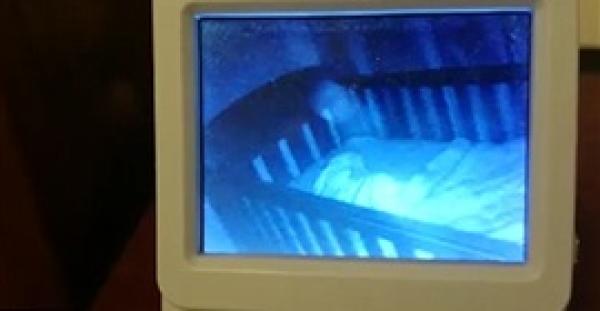 بالفيديو والصور.. أم ترصد «عفريت» فوق طفلتها النائمة