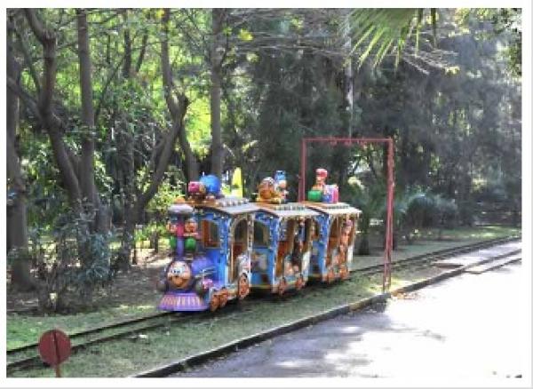 آخر أيام حديقة «ياسمينة» قبل الاندثار التام!