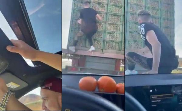 "بسالة زايدة"..."ولاد الفشوش" يخاطرون بحياتهم ويسرقون فواكه من شاحنة بالطريق السيار ومطالب باعتقالهم "فيديو"