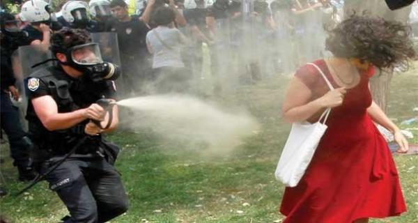 زراعة 600 شجرة .. عقاب شرطي تركي في قضية « ذات الرداء الأحمر»