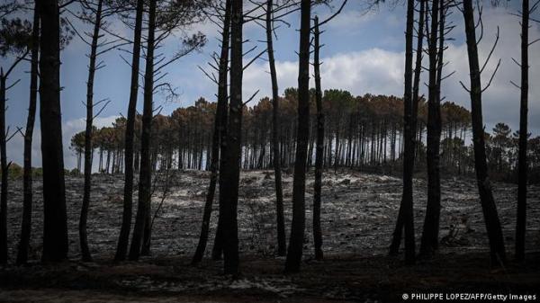 تحقيقات جنائية "دقيقة" في ملابسات أكبر حرائق تشهدها فرنسا
