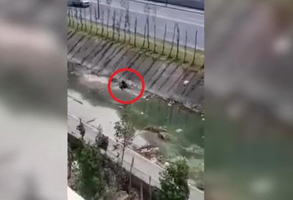 فيديو صادم...مجرم "يغتصب" فتاة ويعنفها بطنجة والأمن يدخل على الخط